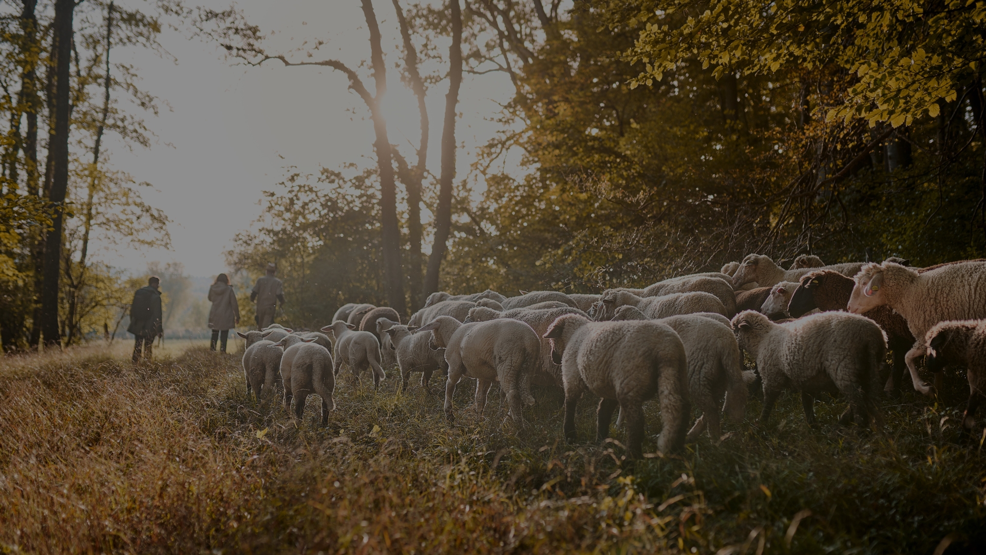 Vaude_Sustainability