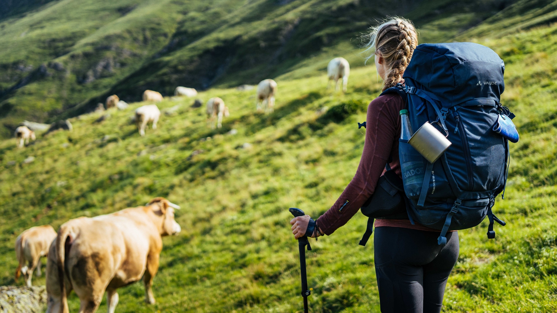 vaude-green-shape